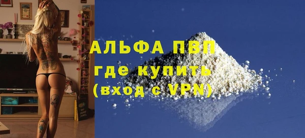 винт Абаза