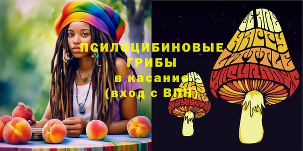 винт Абаза