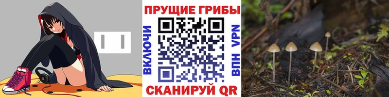 Псилоцибиновые грибы мицелий  где можно купить   Алагир 